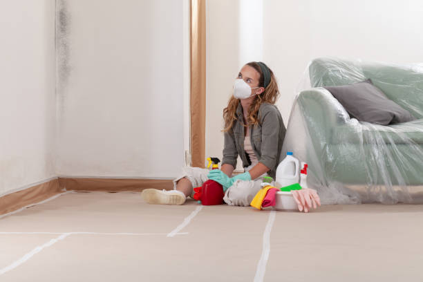 Reliable Mold Remediation contractor in Wakefield, MI by WQB Mold Removal